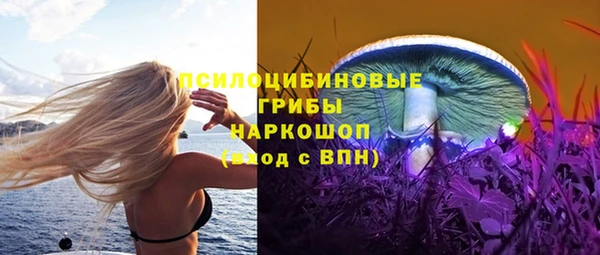 тгк Медногорск