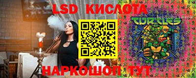 молекула духа Будённовск