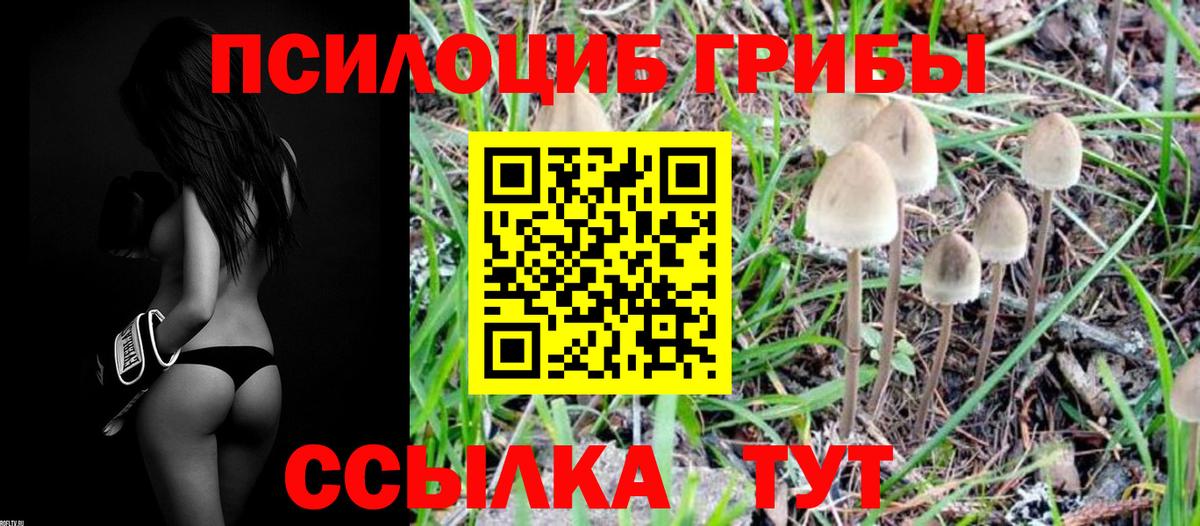 Псилоцибиновые грибы MAGIC MUSHROOMS Урюпинск