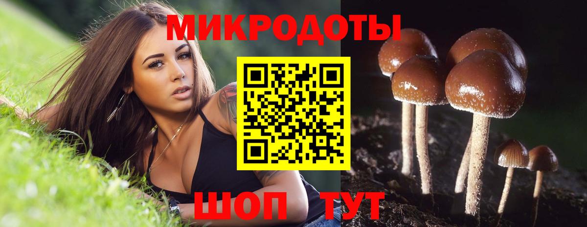 Галлюциногенные грибы GOLDEN TEACHER  купить наркоту  Урюпинск 